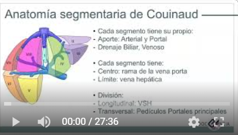 Hígado - Anatomía y variantes por Ecografía