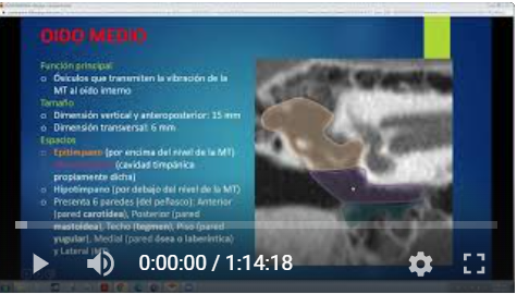 Curso ORL - Hueso Temporal