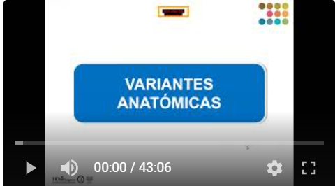 Curso ORL - Anatomía y variantes senos paranasales